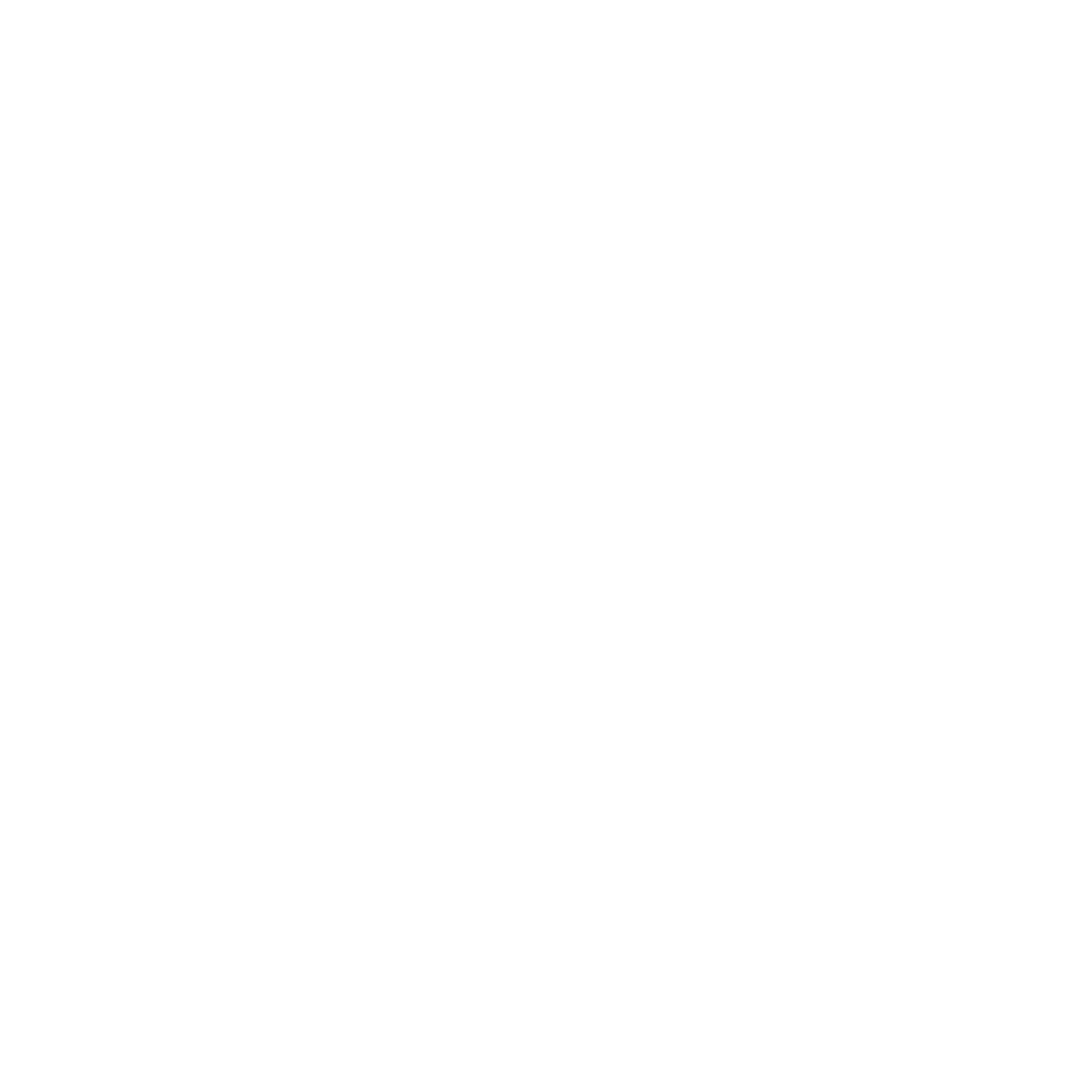 N-ICT - drop IT on us